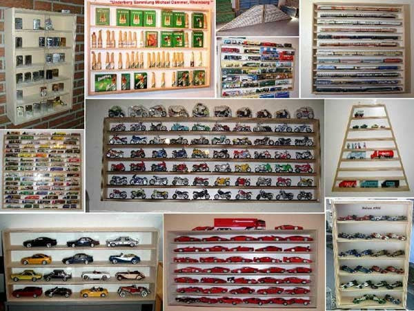 Sammler Vitrine Setzkasten Schaukasten nach Wunsch!