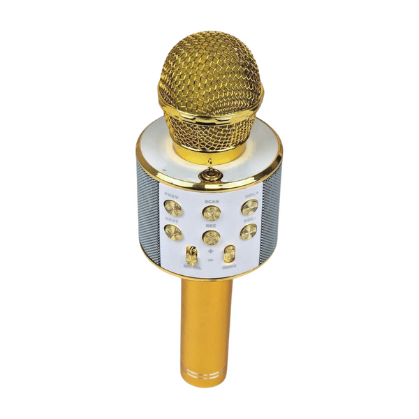 Drahtloses Bluetooth Mikrofon - Das ultimative Karaoke-Erlebnis!